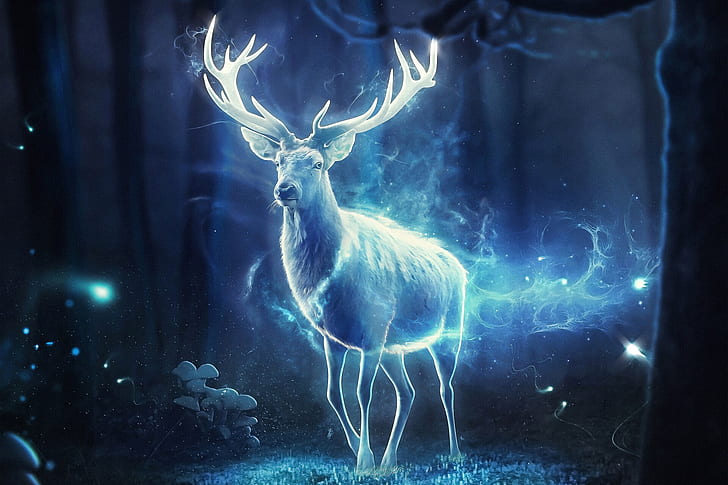 Fantasy Animals, Deer, Animal, Magic, Spirit, HD wallpaper
