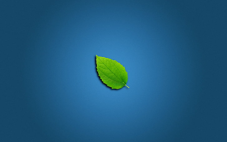 외로운 잎, HD 배경 화면