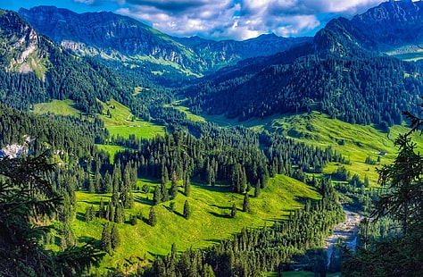 Avusturya dağ orman manzarası, Avrupa, Avusturya, güzel, peyzaj, yaz, ağaçlar, vadi, orman, dağlar, dere, orman, açık havada, doğal, kırsal, çayır, ülke, HD masaüstü duvar kağıdı HD wallpaper