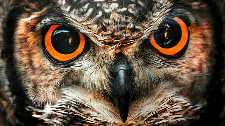 eagle owl, owl, beak, fauna, close up, bird of prey, wildlife, eyes, bird, organism, macro photography, feather, bubo, HD wallpaper