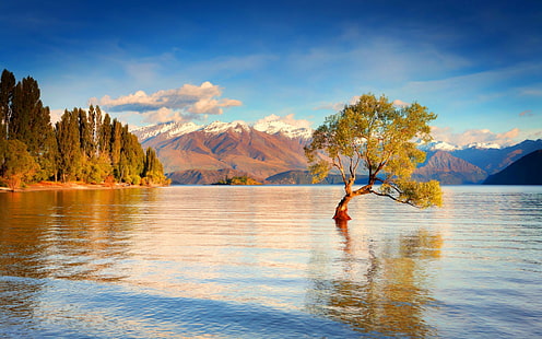بحيرة ، واناكا ، نيوزيلندا، خلفية HD HD wallpaper