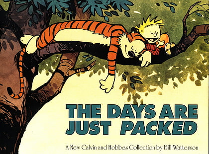 Komik, Calvin & Hobbes, Calvin (Calvin & Hobbes), Hobbes (Calvin & Hobbes), Wallpaper HD HD wallpaper