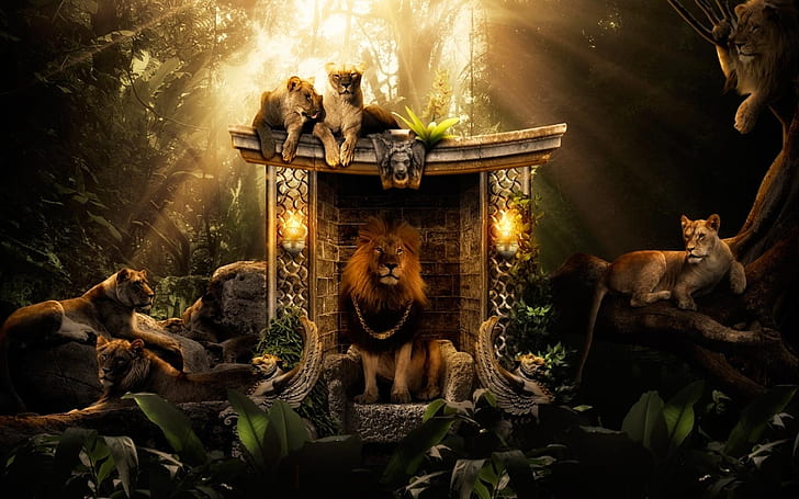Lions Jungle HD, criativo, gráfico, criativo e gráfico, selva, leões, HD papel de parede