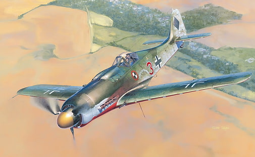青と白の魚のルアー、第二次世界大戦、fw 190、フォッケウルフ、ドイツ空軍、飛行機、軍隊、航空機、軍用機、 HDデスクトップの壁紙 HD wallpaper