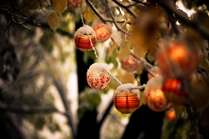 Chinese lanterns, NATURE, SNOW, LEAVES, AUTUMN, BRANCH, LANTERNS, HD wallpaper