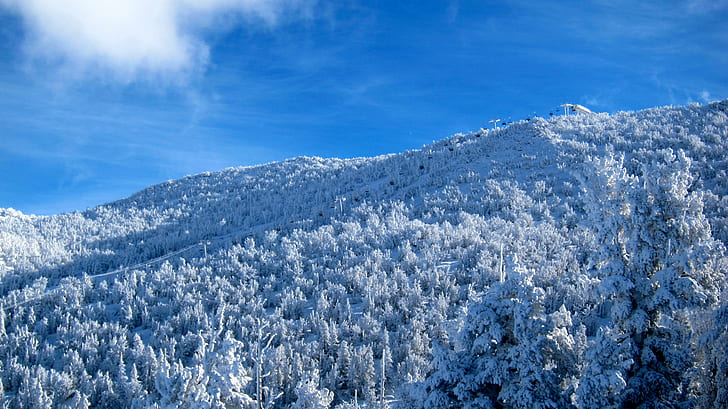 landscape of snowy mountain under cirrus clouds, Sky Express, landscape, snowy mountain, cirrus clouds, Sky  Express, Heavenly  Mountain  Resort, Lake  Tahoe  Basin  Management  Unit, California  National  Forest, winter, snow, nature, forest, mountain, frost, cold - Temperature, tree, white, blue, outdoors, season, ice, scenics, frozen, woodland, sky, fir Tree, beauty In Nature, HD wallpaper