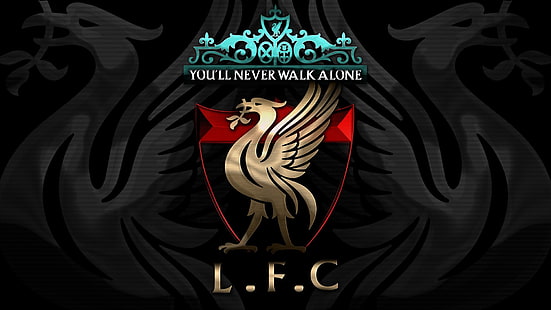 Liverpool, Premier, piłka nożna, Tapety HD HD wallpaper