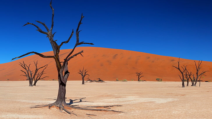 Wüste, HD-Hintergrundbild