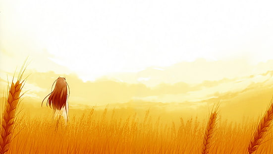 Spice and Wolf, Holo, HD tapet HD wallpaper