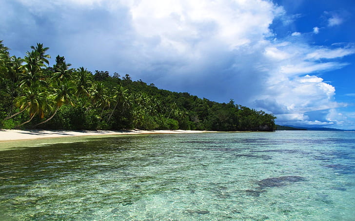 Raja.ampat.islands.original.13629 Playa Raja Ampat Islands, Fondo de pantalla HD