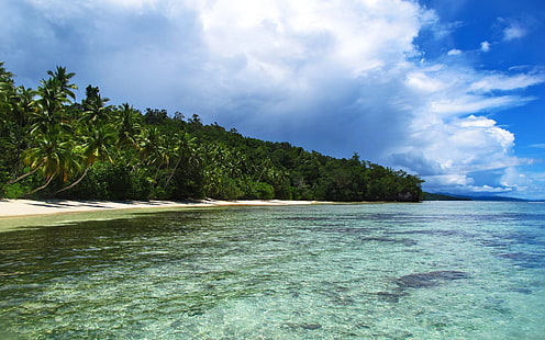 Raja.ampat.islands.original.13629 Beach   Raja Ampat Islands, HD wallpaper HD wallpaper