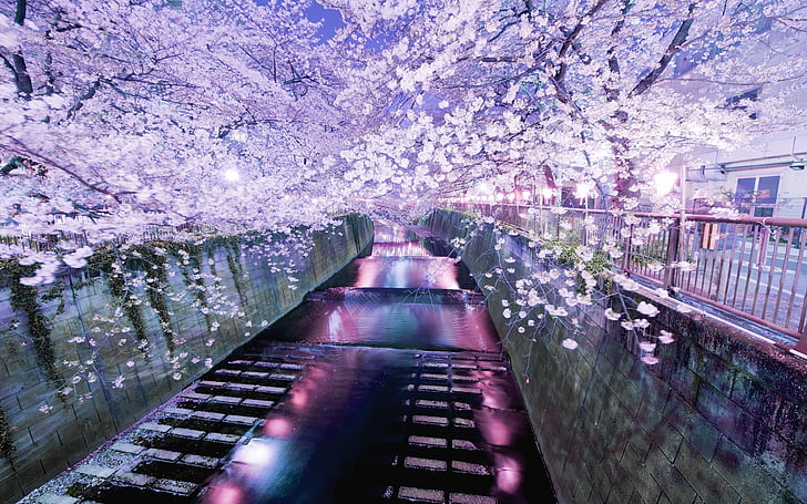 asian, blossoms, buildings, canal, color, fence, flowers, garden, hdr, japan, leaves, lights, night, oriental, path, photography, purple, reflection, shine, sidewalk, soft, trees, water, waterfalls, waterway, HD wallpaper