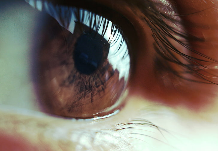 person's eye, eye, pupil, lashes, close-up, HD wallpaper