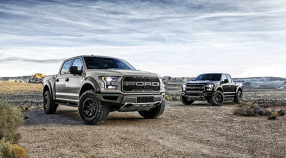 szare 4-drzwiowe pickupy Ford, Ford, Raptor, pickup, F-150, Tapety HD HD wallpaper