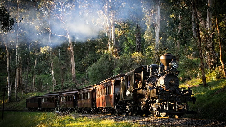 слънчева светлина, дим, дървета, Австралия, влак, трева, парен локомотив, пейзаж, гора, природа, железопътна линия, HD тапет