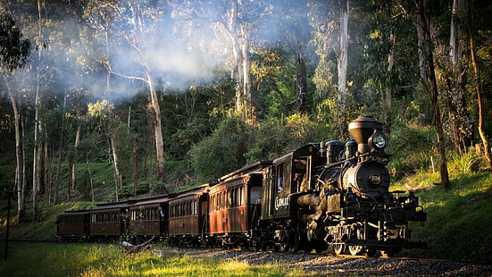 слънчева светлина, дим, дървета, Австралия, влак, трева, парен локомотив, пейзаж, гора, природа, железопътна линия, HD тапет HD wallpaper