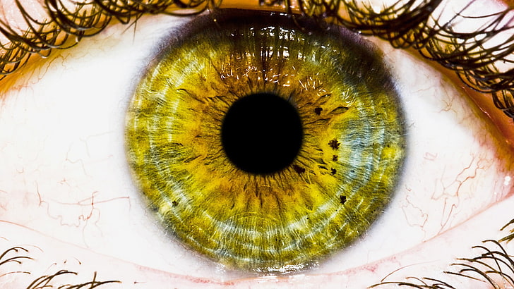 alam, mata, mata hijau, Wallpaper HD