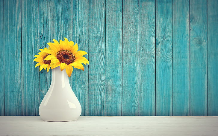 Flowers, Vase, Background, Sunflower, HD wallpaper