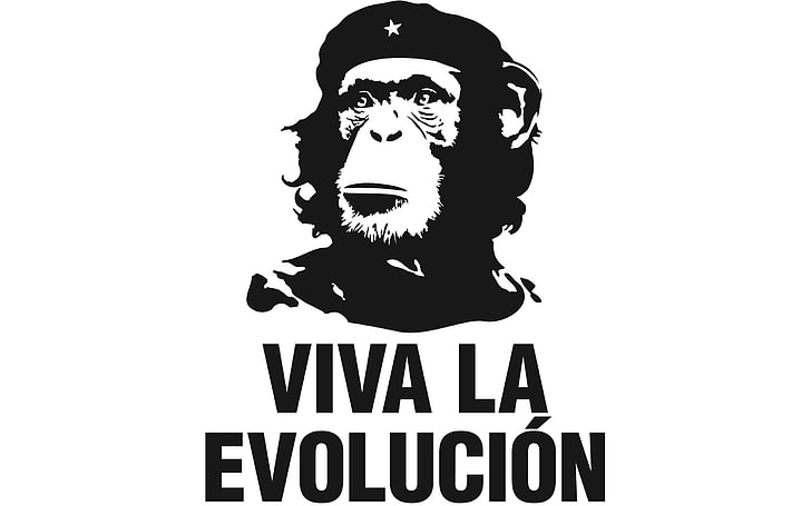 Viva La Evolucion tapet, humor, vit bakgrund, Che Guevara, enkel, schimpanser, evolution, HD tapet