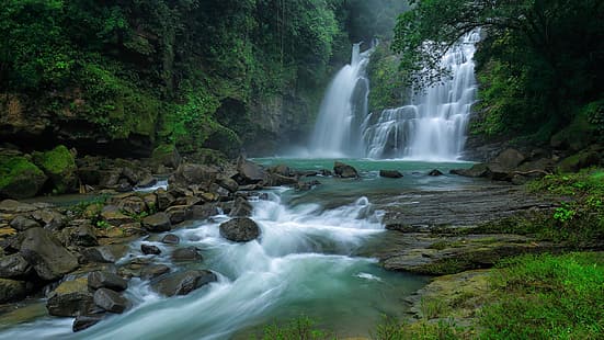 Natura, skały, mech, drzewa, rośliny, wodospad, długa ekspozycja, Monsun, Las deszczowy, Wodospady Nauyaca, Kostaryka, Tapety HD HD wallpaper