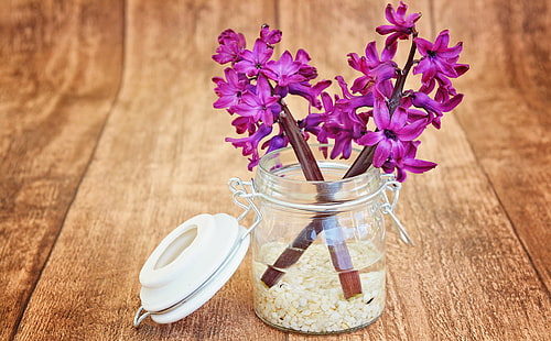 Två lila hyacinter, vintage, blomma, vår, rosa, blommor, trä, glas, doftande, hyacint, söt, vår, vas, dekorativ, stilleben, HD tapet HD wallpaper