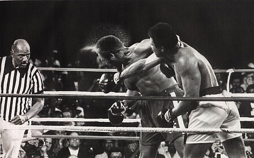 Muhammad Ali - Boxer, game tinju, Olahraga,, wallpaper olahraga, wallpaper muhammad ali, Wallpaper HD HD wallpaper