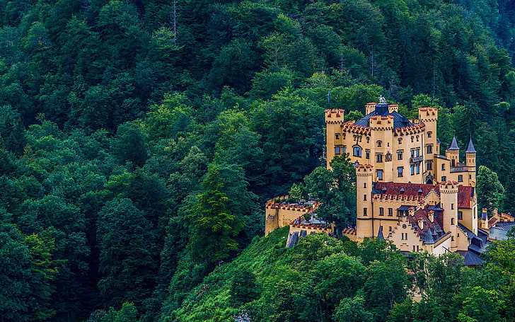 cidade, castelo, Hohenschwangau, Schloss Hohenschwangau, HD papel de parede