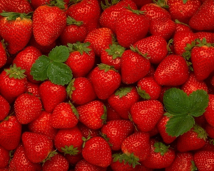Red strawberry lot HD wallpapers free download | Wallpaperbetter
