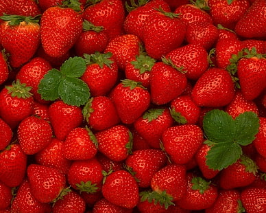 빨간 딸기 많은, 딸기, 익은, 빨강, 베리, 잎, 배경, HD 배경 화면 HD wallpaper