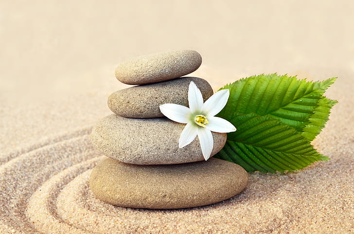 Sand, Blume, Steine, Badekurort, Zen, HD-Hintergrundbild