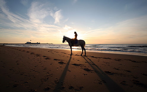 coucher de soleil plage mer rivage chevaux paysages marins 1920 x 1200 animaux chevaux HD Art, plage, coucher de soleil, Fond d'écran HD HD wallpaper