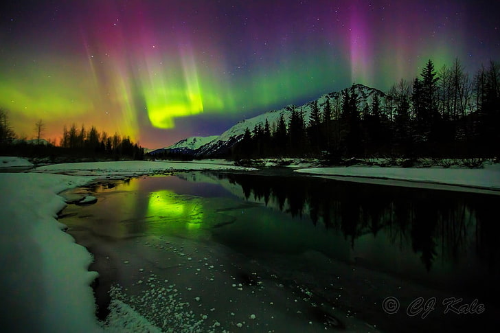 aurora borealis, aurorae, musim dingin, malam, salju, pemandangan, Wallpaper HD