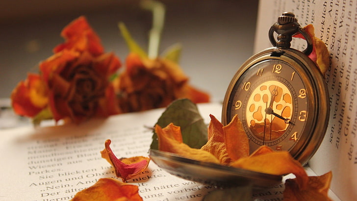 หุ่นเซรามิกสีแดงและดำนาฬิกากุหลาบหนังสือกลีบนาฬิการะยะชัดลึกดอกไม้สีส้ม, วอลล์เปเปอร์ HD