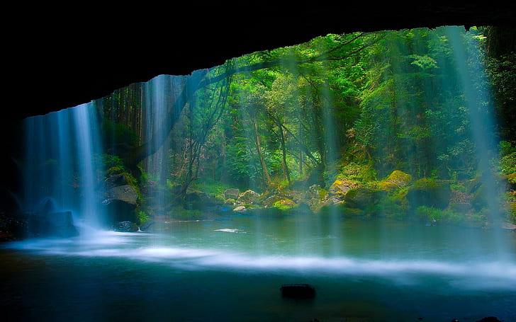 водопад, ручей, пещера, ущелье, вода, лес, зеленый, ярко, за стеной, водопад и зеленые лиственные деревья, водопад, ручей, пещера, ущелье, вода, лес, зеленый, ярко, за стеной, HD обои