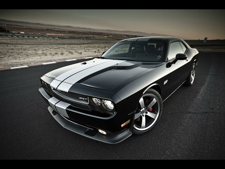 2012-Dodge-Challenger, schwarzer Ford Mustang GT, Britney Spears, Hängematte, Möwe, Paradies, Autos, HD-Hintergrundbild