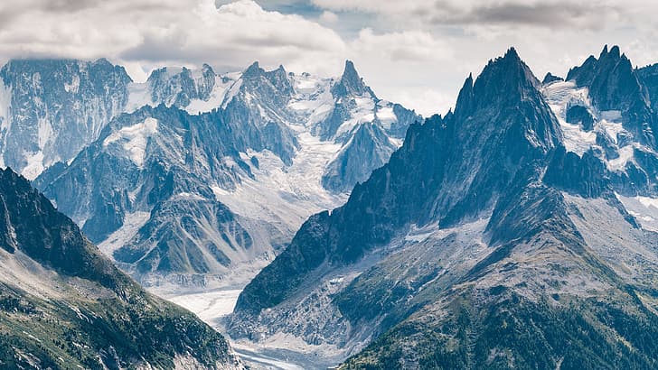 Chamonix, Mont Blanc, France, landscape, mountains, flowers, HD wallpaper