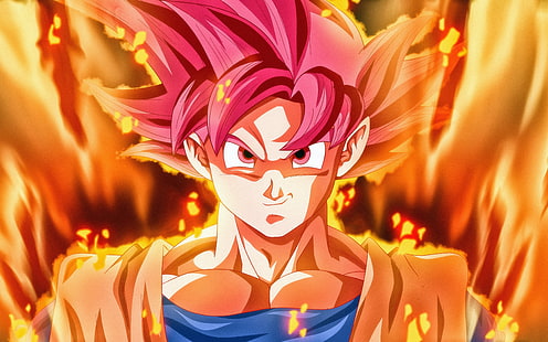 Dragon Ball Super Saiyan God Goku, วอลล์เปเปอร์ HD HD wallpaper