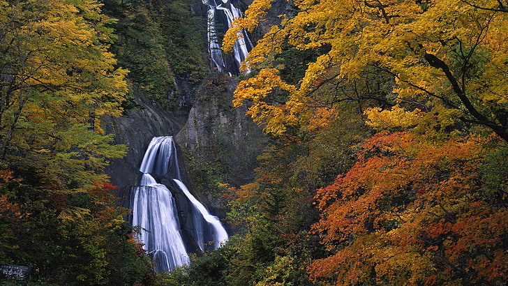 waterfall, falls, rocks, trees, autumn, height, row, HD wallpaper