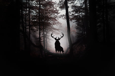 deer, forest, animals, artist, digital art, 4k, hd, HD wallpaper HD wallpaper