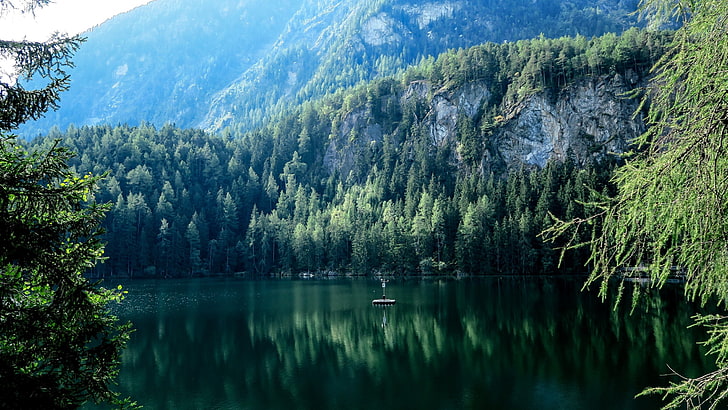 дървета, езеро, природа, планини, пейзаж, отражение, HD тапет