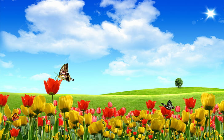 Motyl na tulipanie, przyroda, kwiaty, Tapety HD