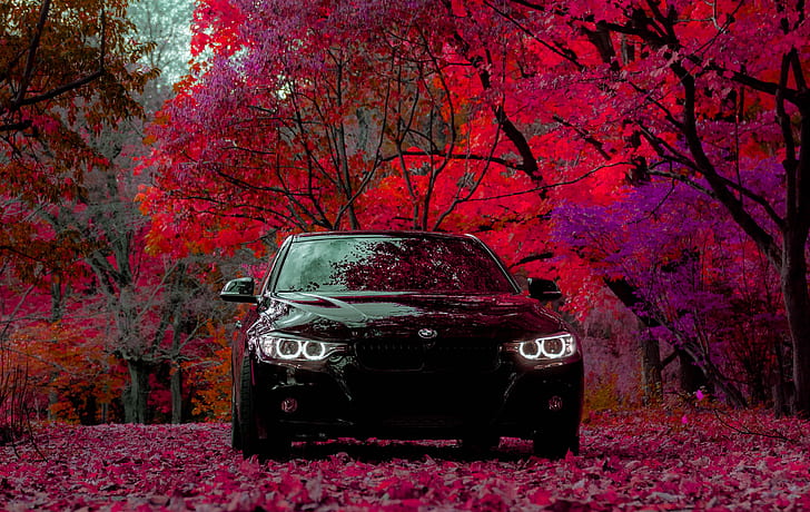 BMW, BMW F30, black cars, trees, car, vehicle, HD wallpaper