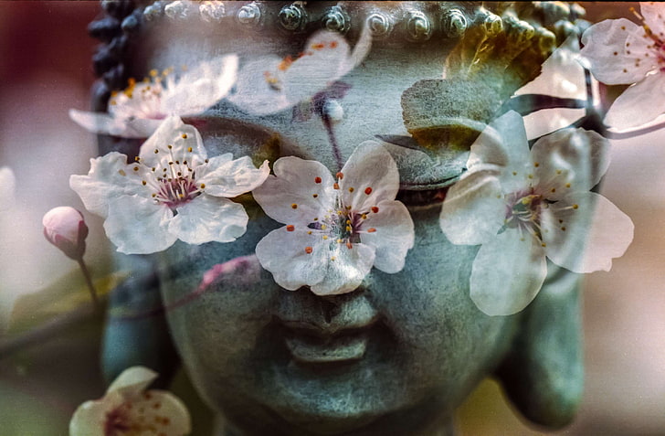 Todo es uno, equilibrio, buda, budismo, budista, chakra, flor, armonía,  Fondo de pantalla HD | Wallpaperbetter