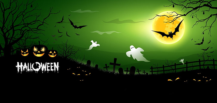 Papel de parede de Halloween, cemitério, abóbora, horror, Dia das bruxas, fantasmas, assustador, meia-noite, morcegos, abóboras, assustador, lua cheia, cemitério, HD papel de parede
