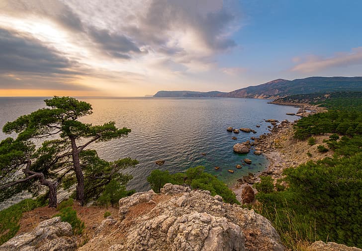 sea, trees, coast, pine, Russia, Crimea, The black sea, The Natural Boundary Ajazma Neither, HD wallpaper