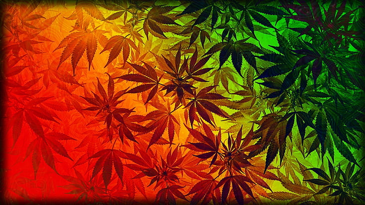 420, cannabis, marihuana, hierba, Fondo de pantalla HD
