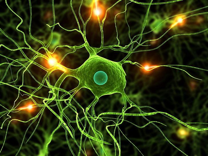 илюстрация на зелени клетки, художествена, неврон, HD тапет
