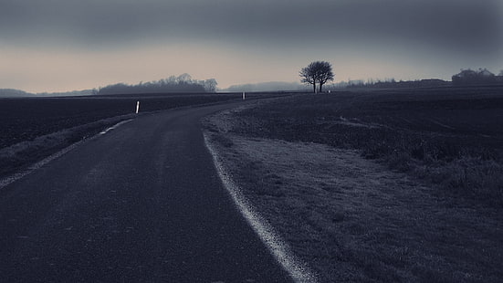 szara betonowa chodnik, droga, ciemność, mgła, pole, Tapety HD HD wallpaper