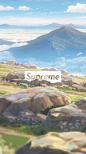 Logo Supreme, supreme, Kimi no Na Wa, Tapety HD HD wallpaper