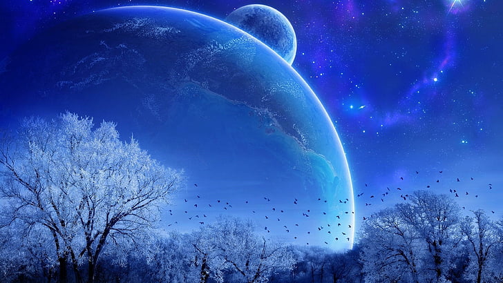 planetas, ciencia ficción, nieve, estrellas, pájaros, árboles, frío, azul, estrellado, ciencia ficción, planeta, invierno, noche, arte de fantasía, paisaje de fantasía, Fondo de pantalla HD